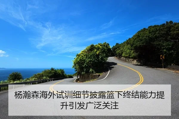 杨瀚森海外试训细节披露篮下终结能力提升引发广泛关注